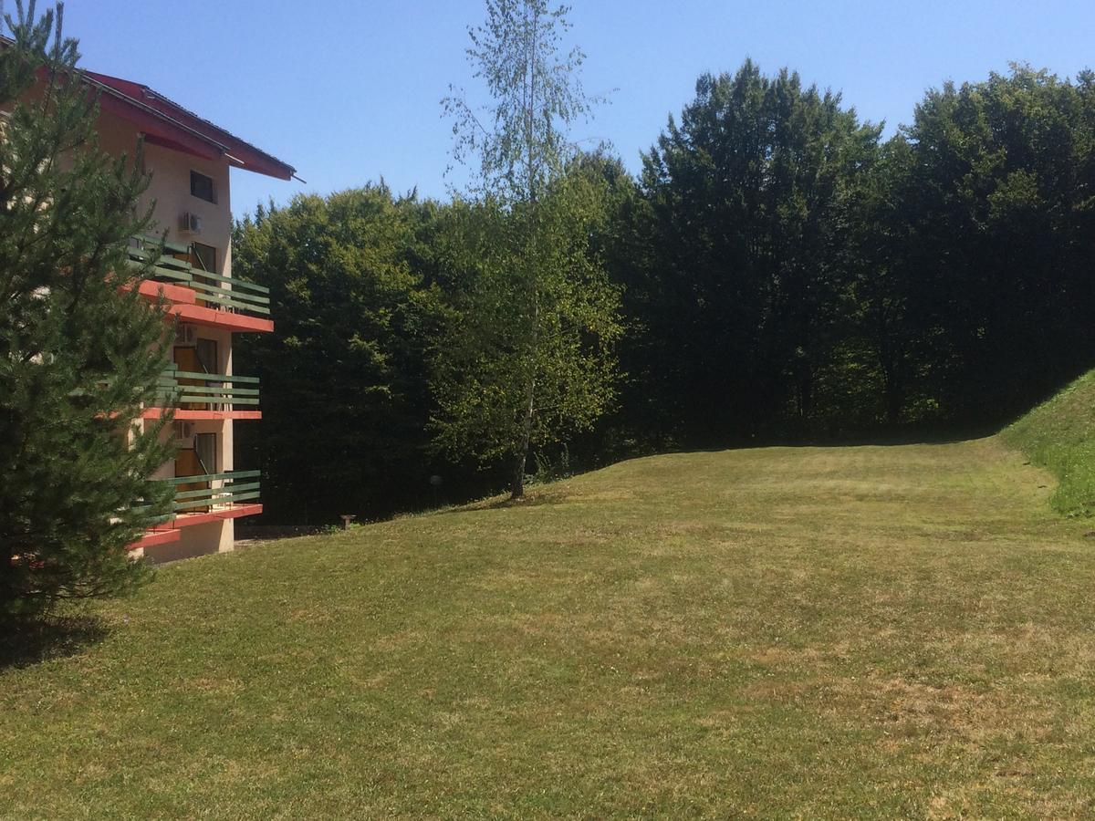 Park Hotel Ribaritsa Kültér fotó