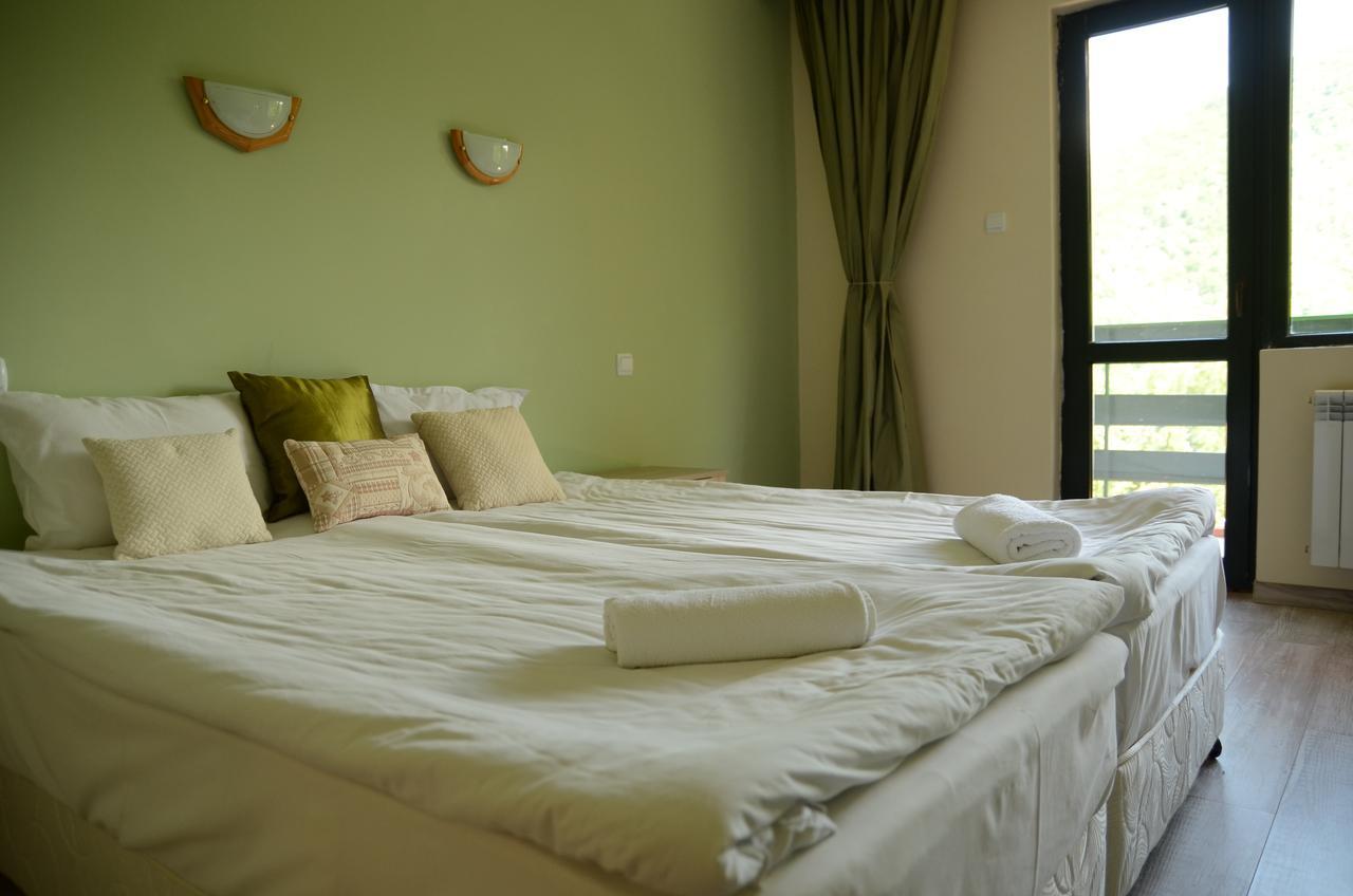 Park Hotel Ribaritsa Kültér fotó