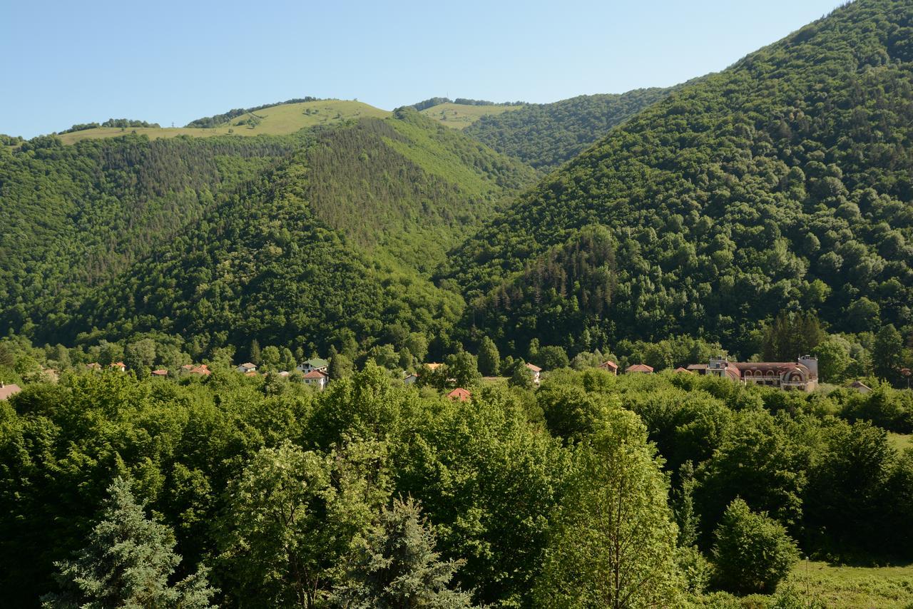 Park Hotel Ribaritsa Kültér fotó