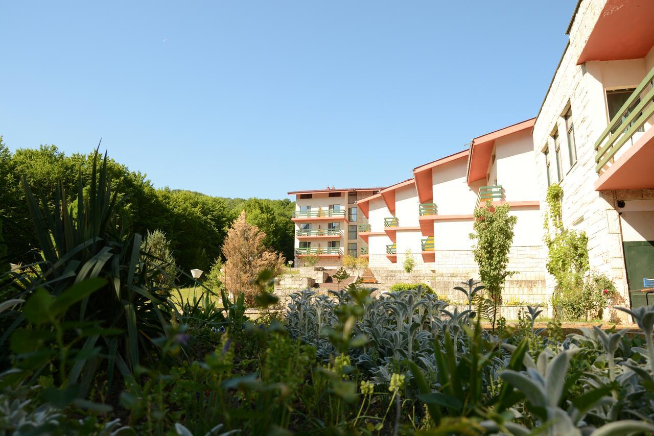 Park Hotel Ribaritsa Kültér fotó
