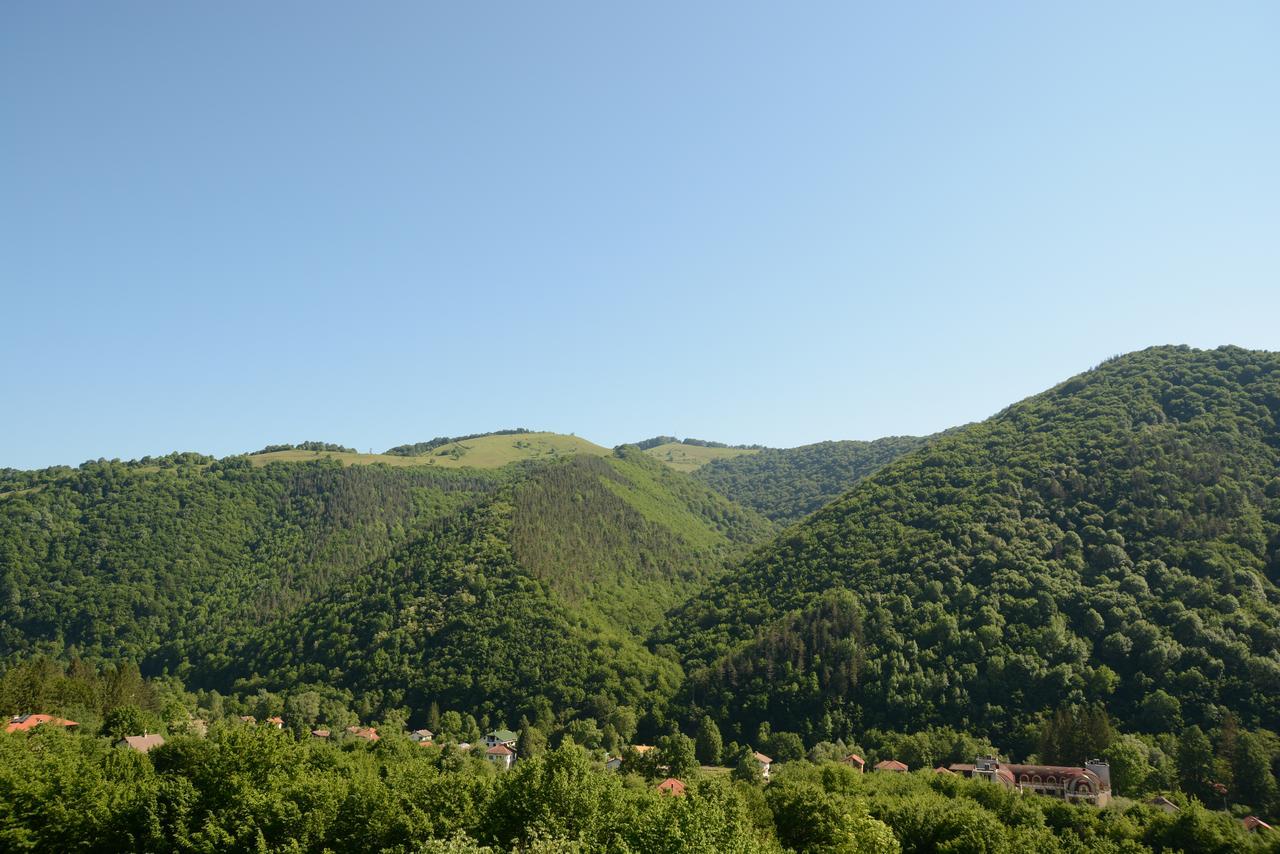 Park Hotel Ribaritsa Kültér fotó